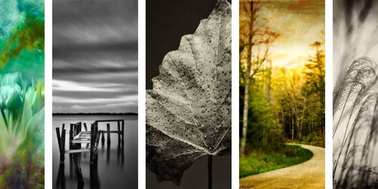 UPAGallery's profile banner image