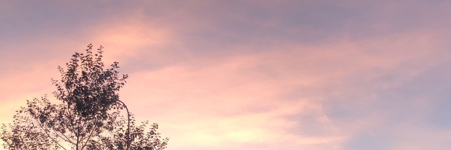 AshleyDeCleen's profile banner image