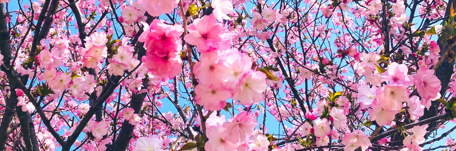 yukkimo23_11's profile banner image