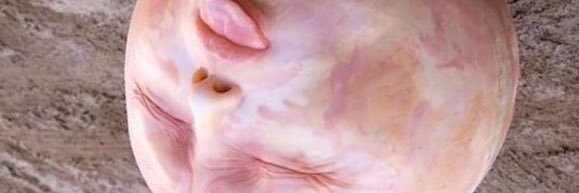EugeneP_BCDS's profile banner image