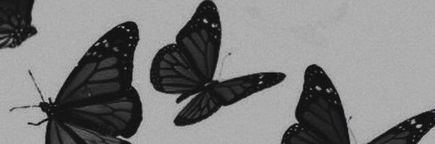 se_aleeya's profile banner image