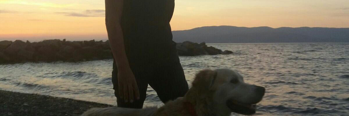 g_isilcevik's profile banner image