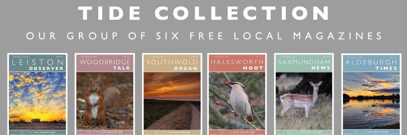 Tide Collection banner