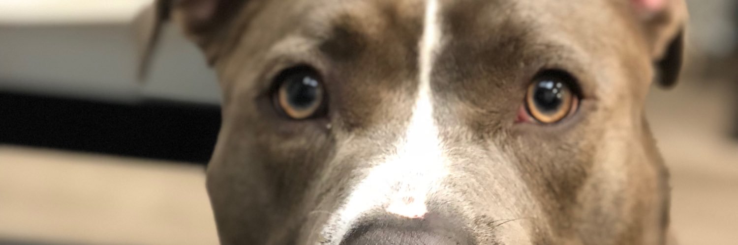 KaylanDunham's profile banner image