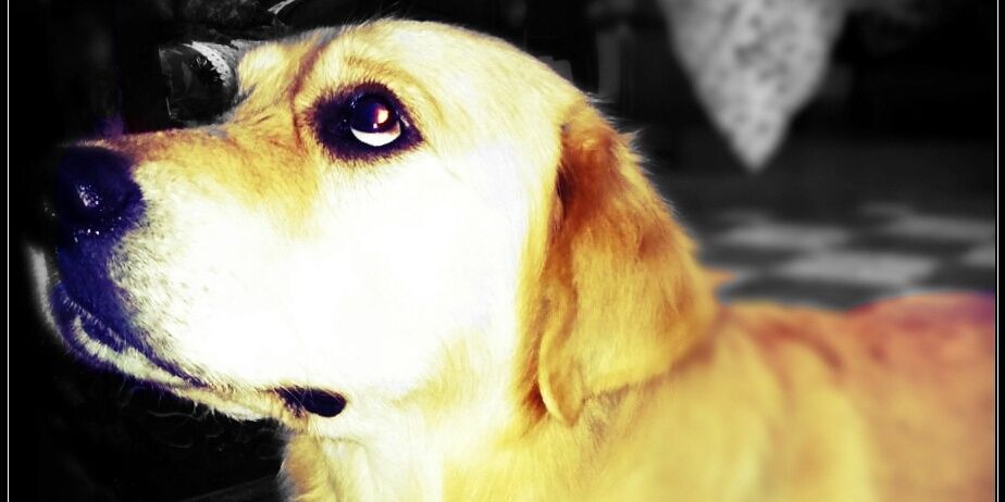 Xavi_Rob's profile banner image