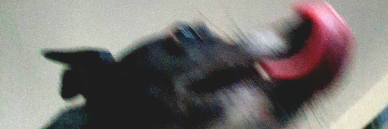 ShinyDemon's profile banner image