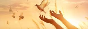 olatunde72's profile banner image