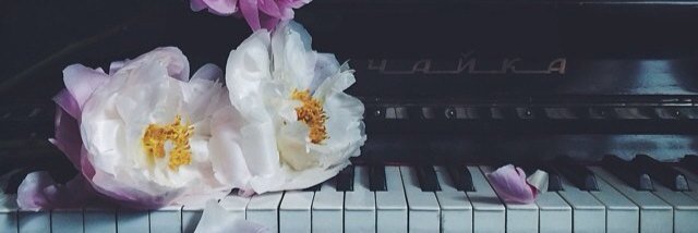 Daisy_80th's profile banner image