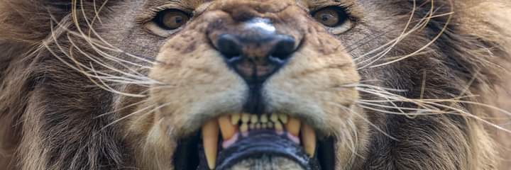 sheppard_28's profile banner image