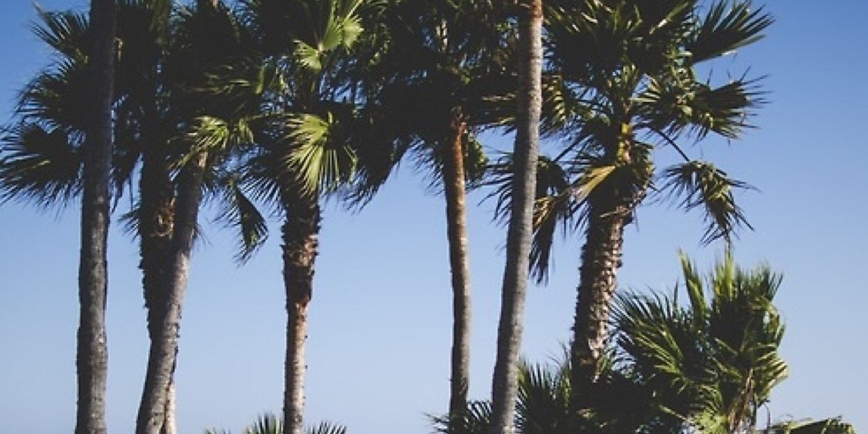 itslouisbhs's profile banner image