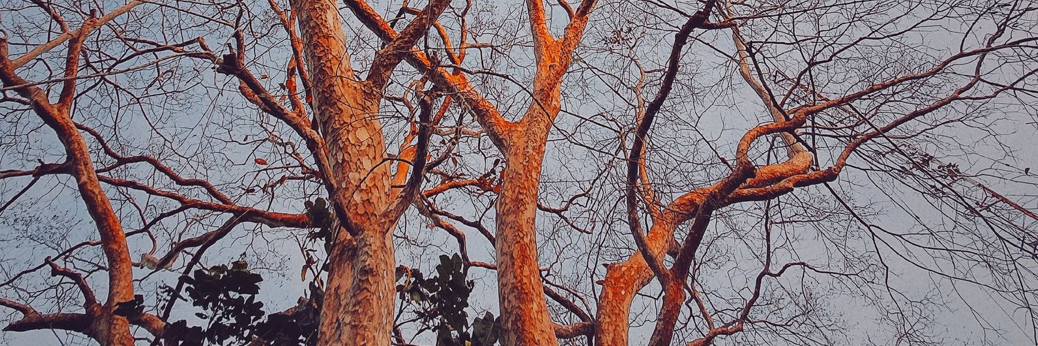 oxideeee's profile banner image