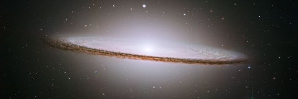 tgm Profile Banner