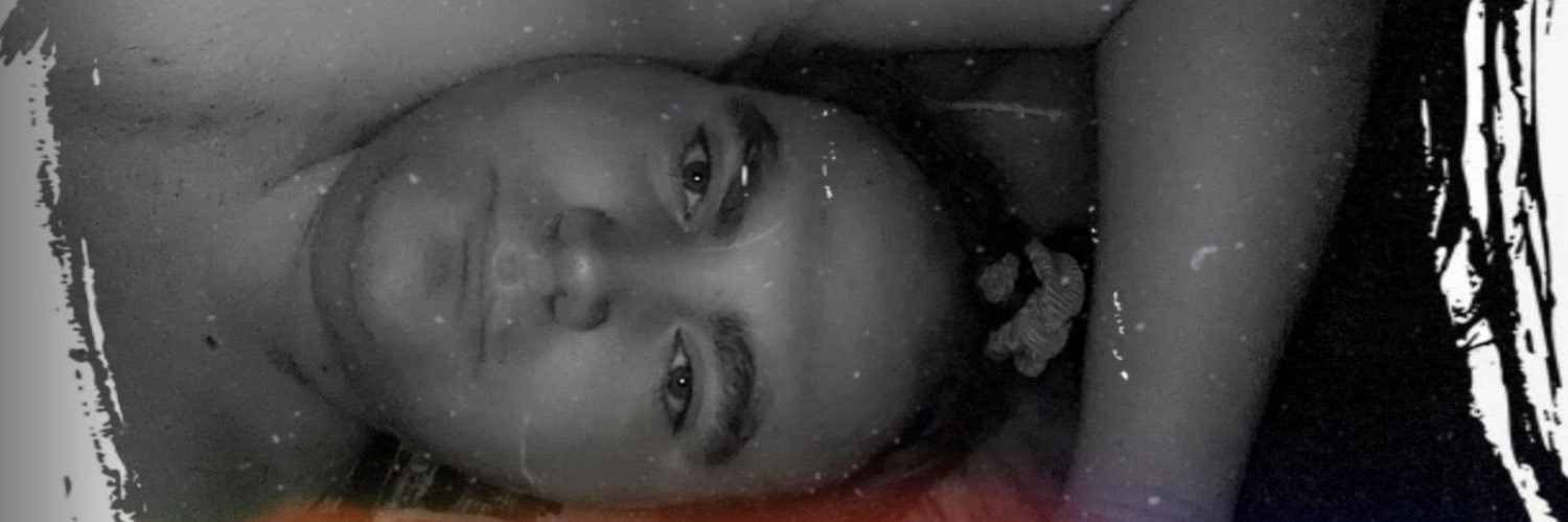 Stephan🐲🦊-⃝⃤ banner