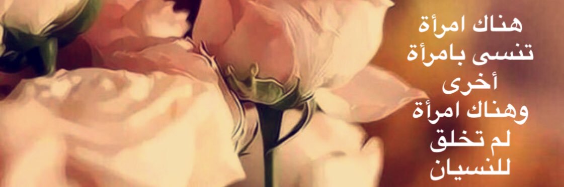 1Bnoon's profile banner image