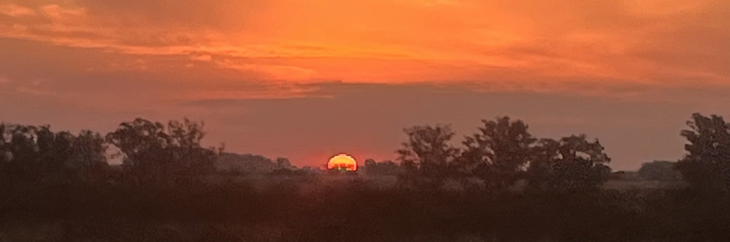 Cami Suárez banner