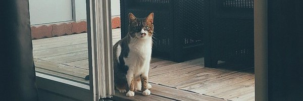 Giraffe0717 Profile Banner