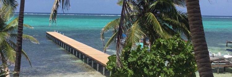cpat_41's profile banner image