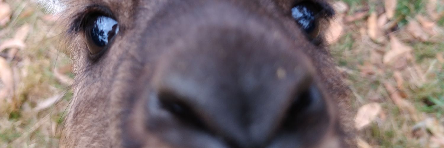 _LePouyol's profile banner image