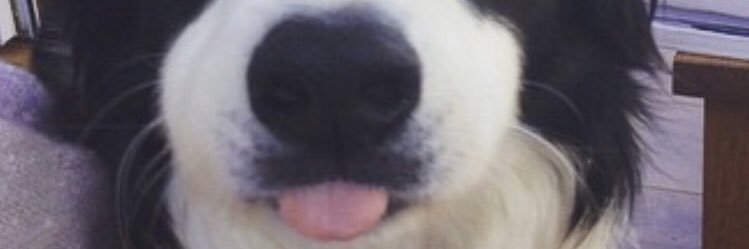 daisyyc_'s profile banner image
