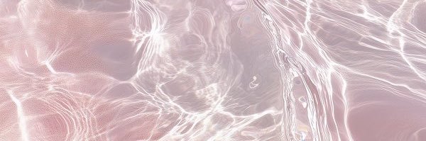 sonapokekme's profile banner image