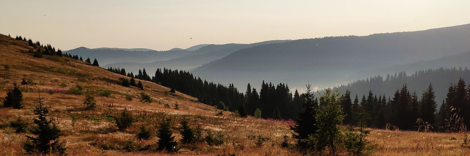 PVolinski's profile banner image