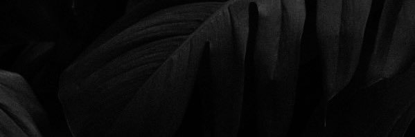 noelmohrr's profile banner image