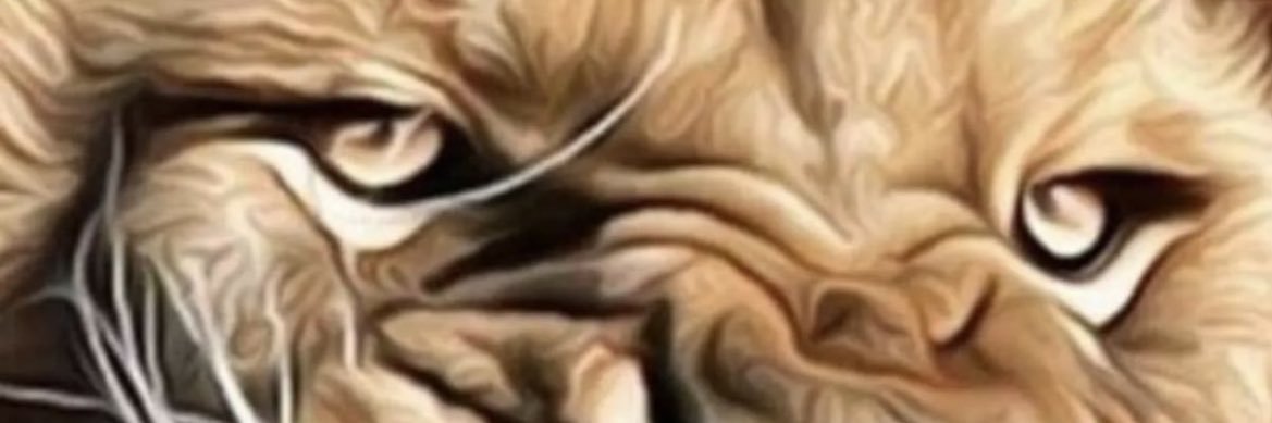 HM banner