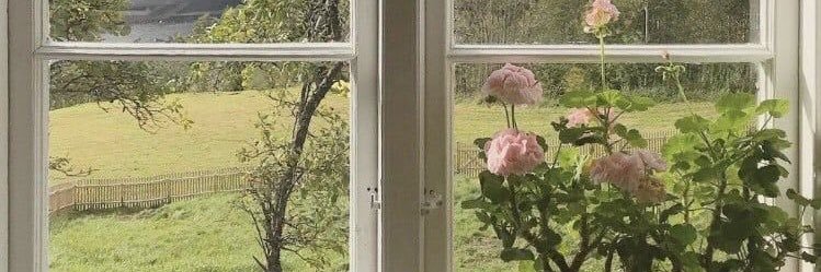 ᙏ̤̫ banner