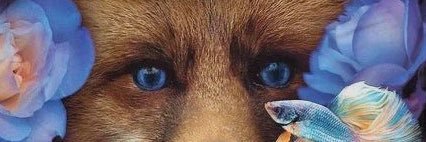 狐搞瞎搞 banner