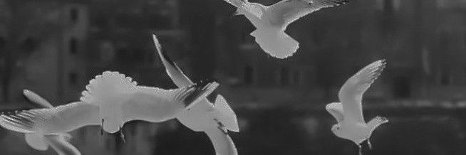 َ banner