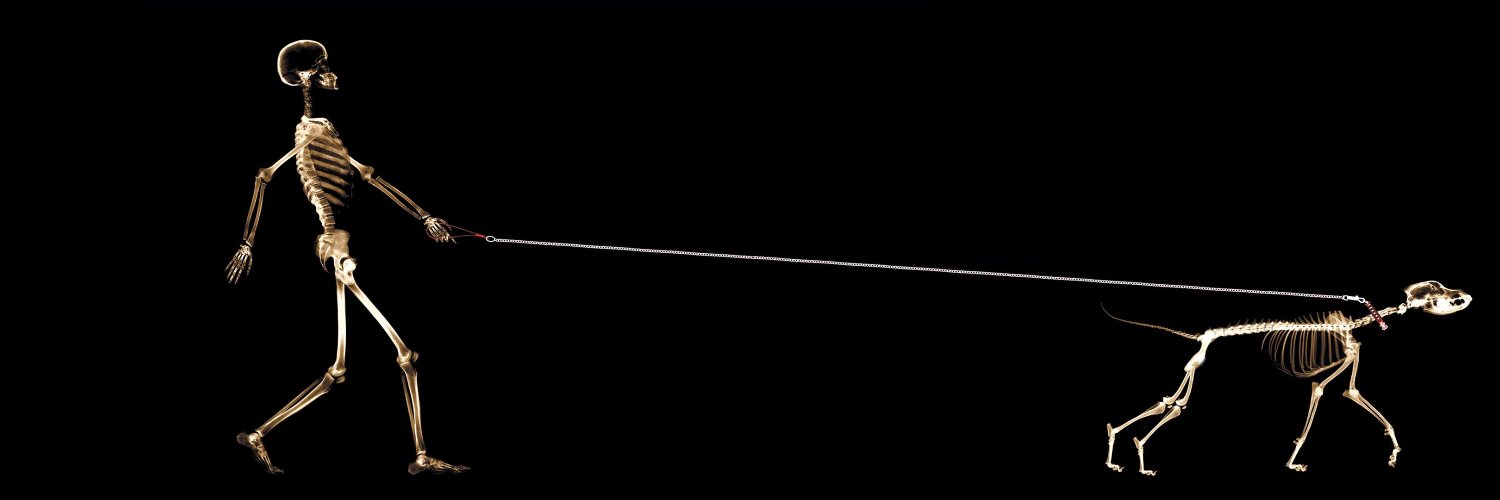 danilo_ams's profile banner image