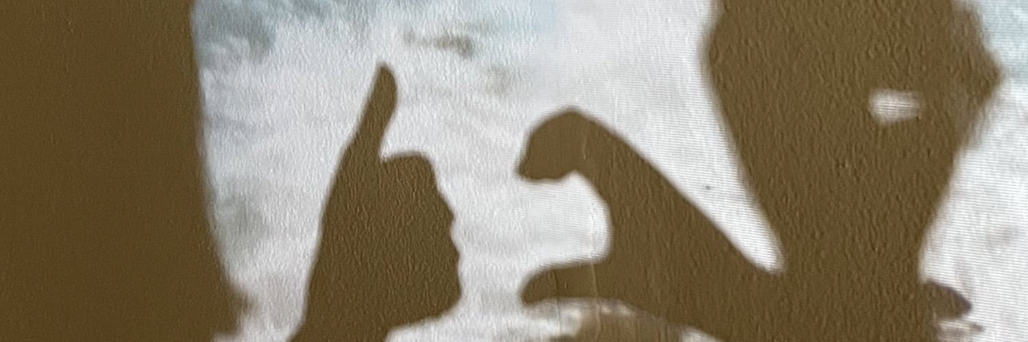 shinyhand's profile banner image