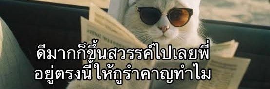 S’more 🧸 ♡ พั้นคุง banner