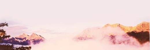 SparklingClosed's profile banner image