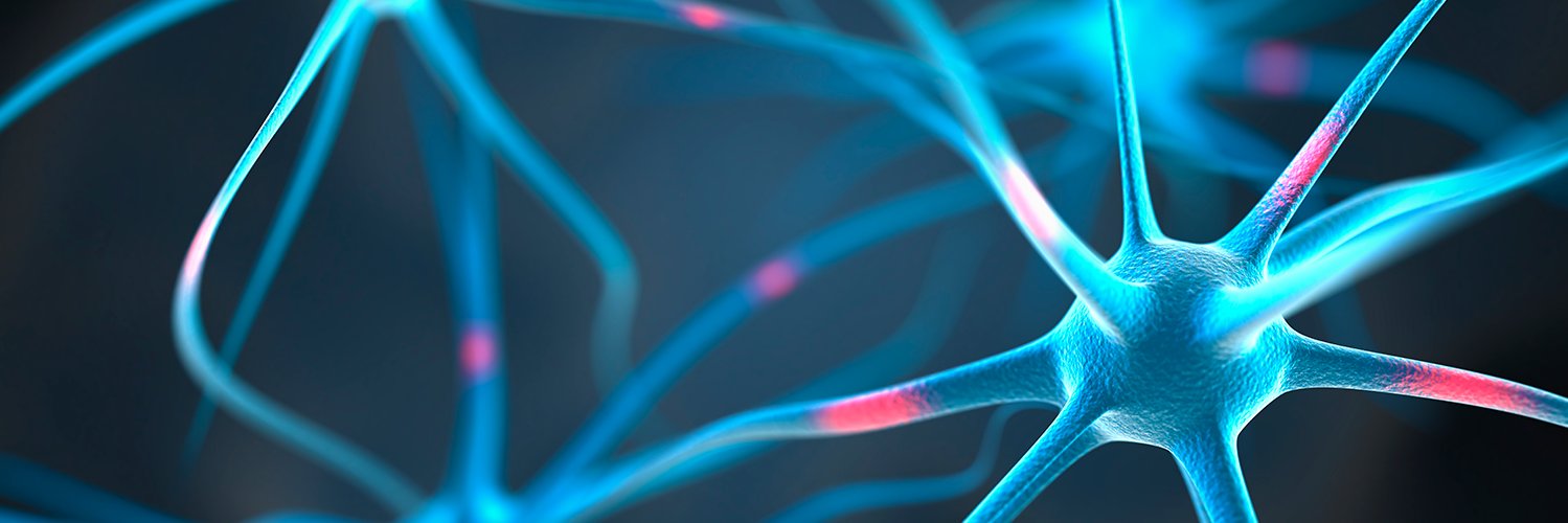 NeuroQuotient banner