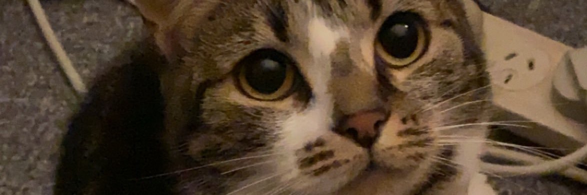 eosbutt's profile banner image