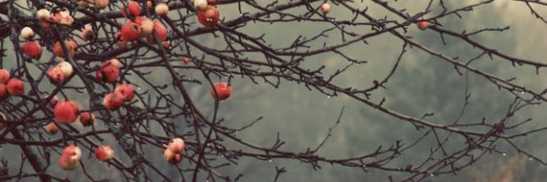 lockelynn's profile banner image