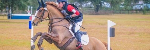 SSB_Eventing's profile banner image