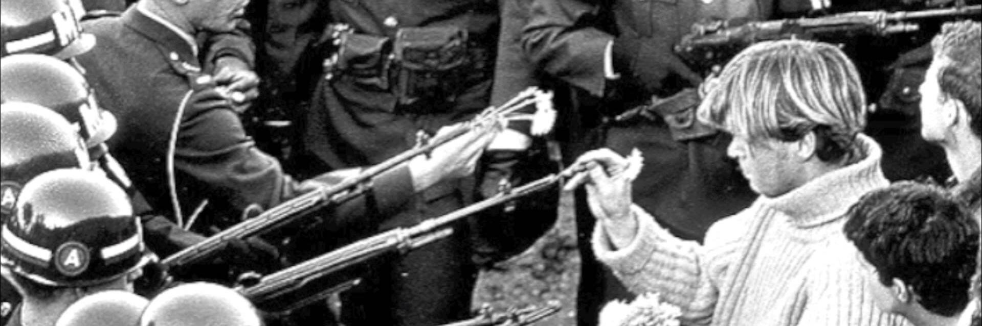 Duermevela banner