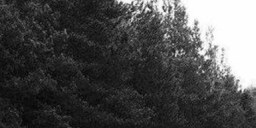StollBrother's profile banner image
