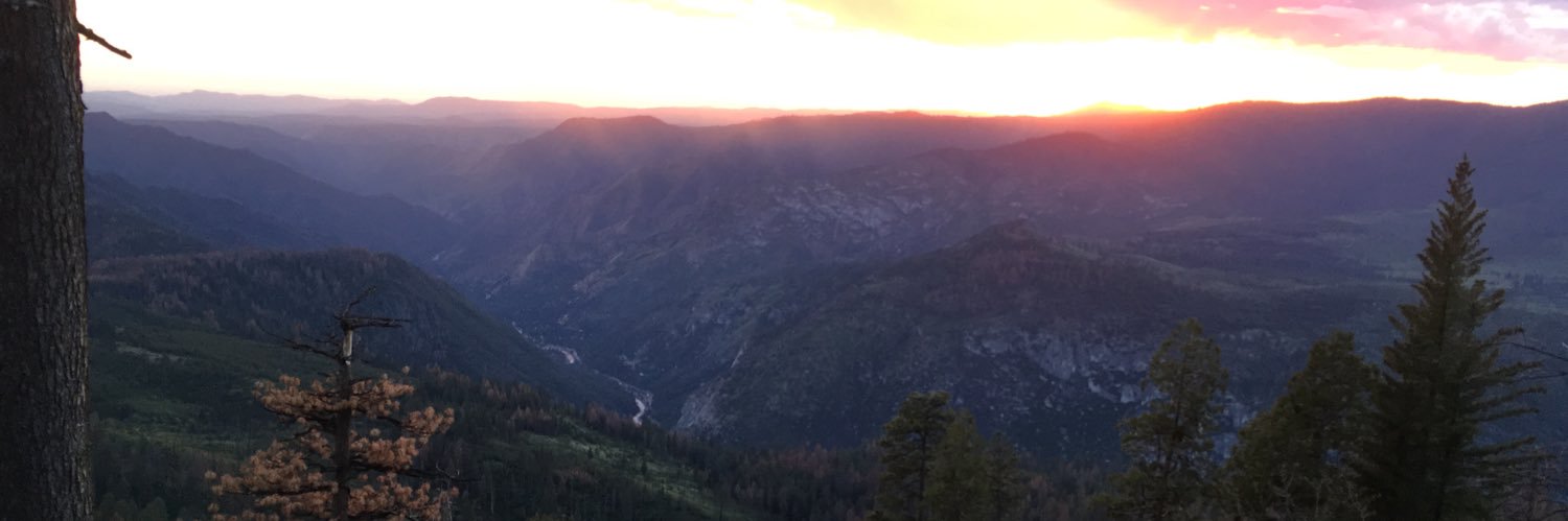 NLitt214's profile banner image