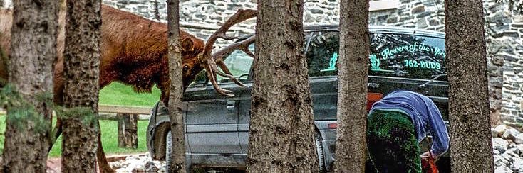 Real World Photographs banner