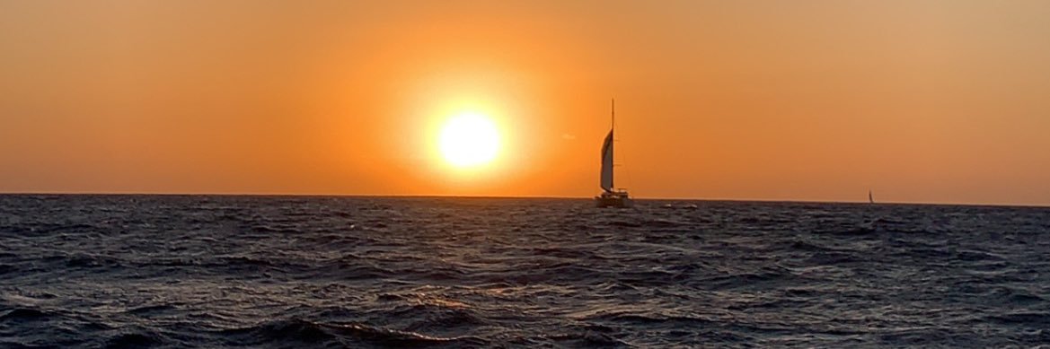 grinkograce's profile banner image