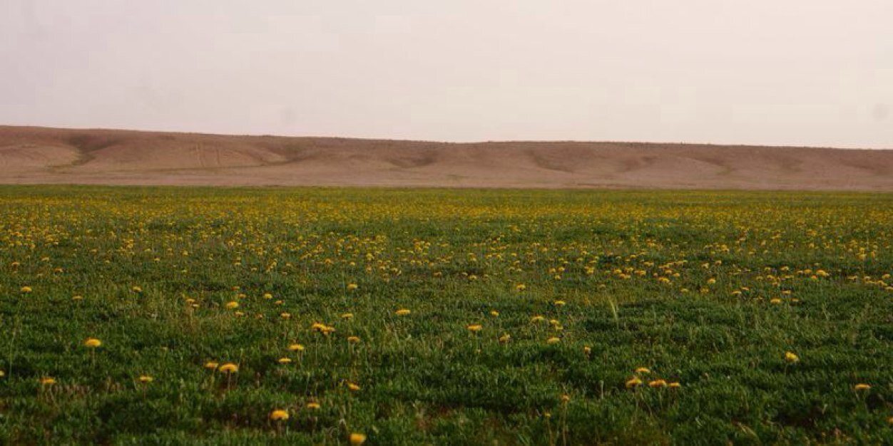 ShaalanF's profile banner image