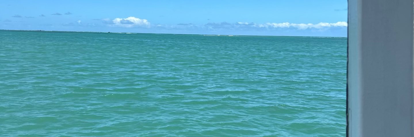 alinefontessf's profile banner image