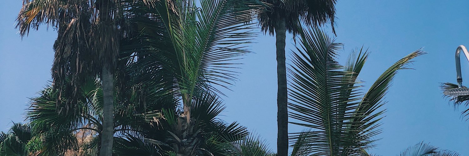 EmilyJC_98's profile banner image