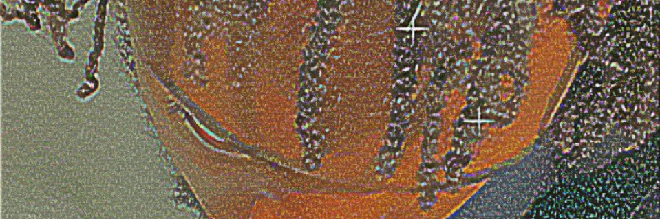 yohnyames's profile banner image