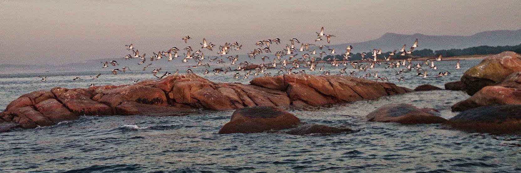 VisitArousa's profile banner image
