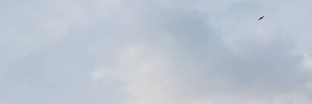 NehalStoneX's profile banner image