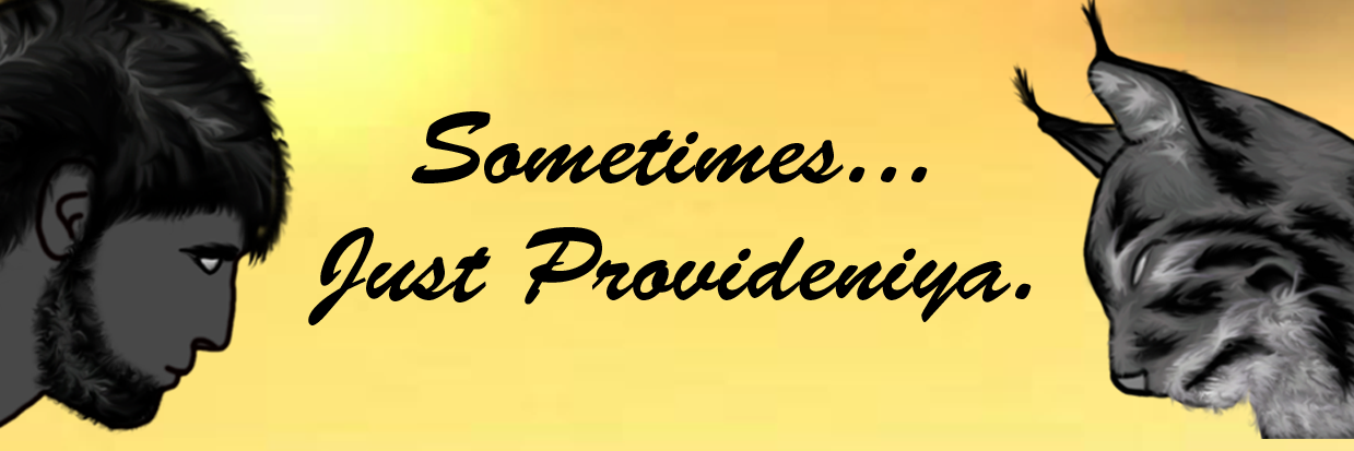 Provideniya banner